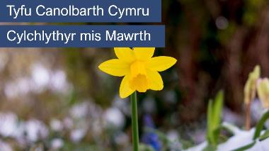 March 23 Welsh