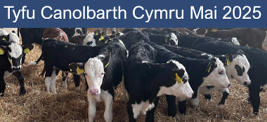 May newsletter cover 2025